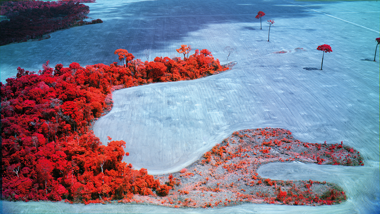 Richard Mosse utilise des caméras ­thermiques et multispectrales.